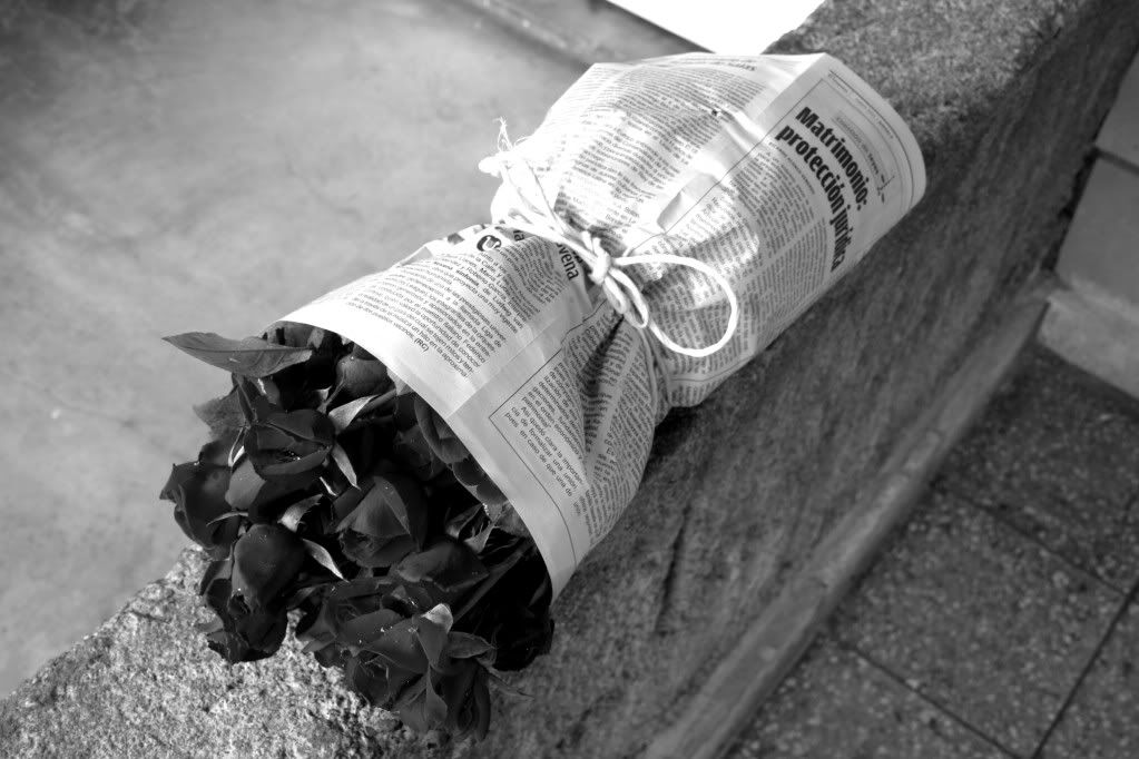 IMAGE: http://i1214.photobucket.com/albums/cc483/Fals7D/rosesbw.jpg