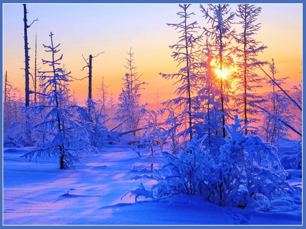 Image%20result%20for%20beautifu%20winter