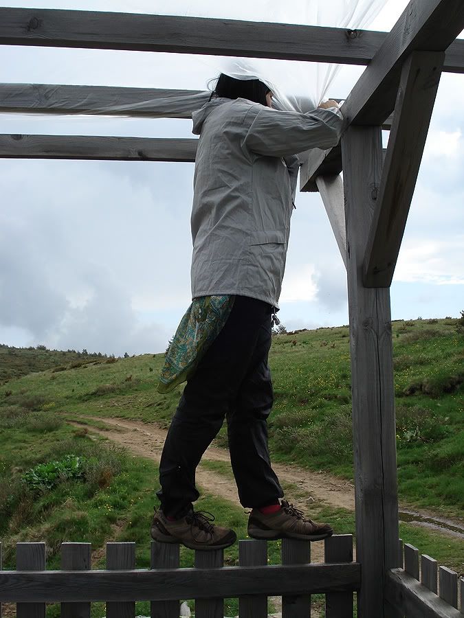 DSC06857.jpg
