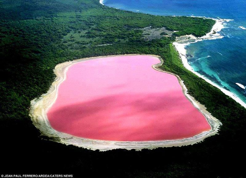 lake-hillier-pink-lake-in-australia-1_zp