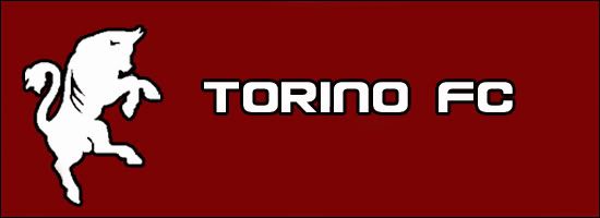 torinosolo.jpg