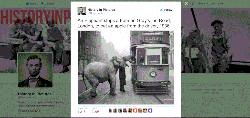 twitter%20elephant_zpsxhmaewq9.gif