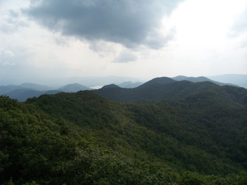 Posted Image