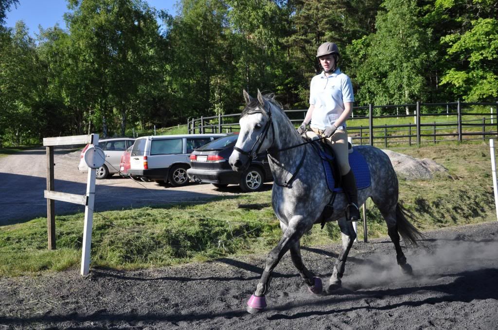 centreradridning10juli089_zpsd4e79ec7.jpg