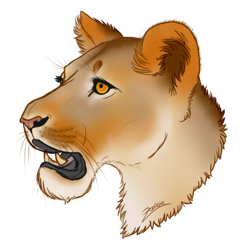 colored%20lioness%20profile%20headshot_z