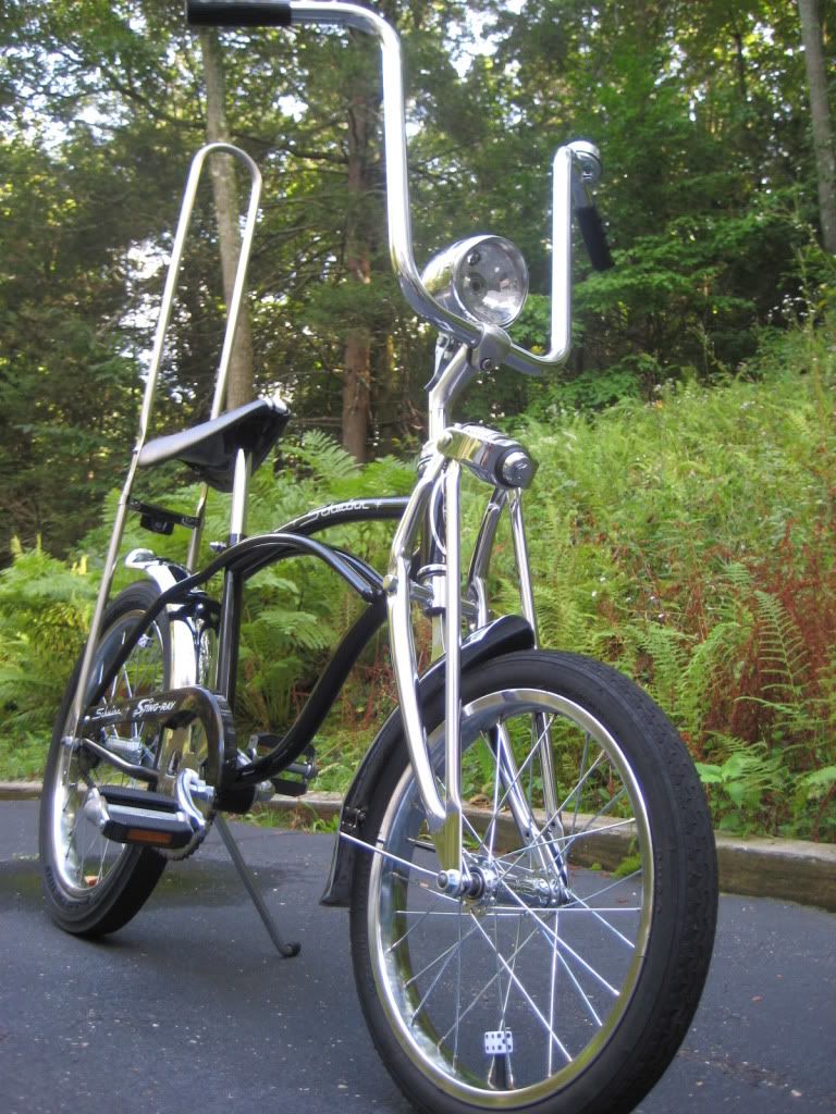 sissy bar bicycle