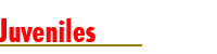 juveniles-1.png