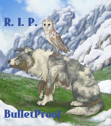BulletproofAlacrity