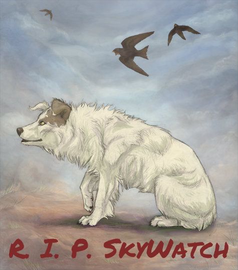 SkyWatchAlacrity