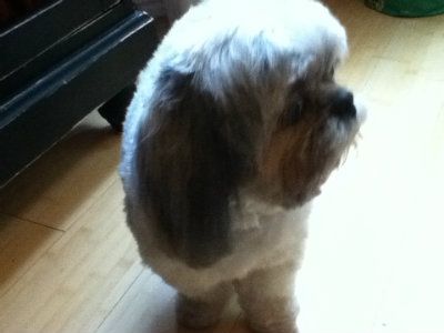 mypics777
