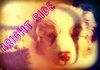 mypics506-1
