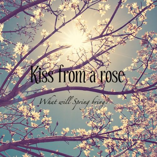 Foto bij 70. A young lady being photographed.