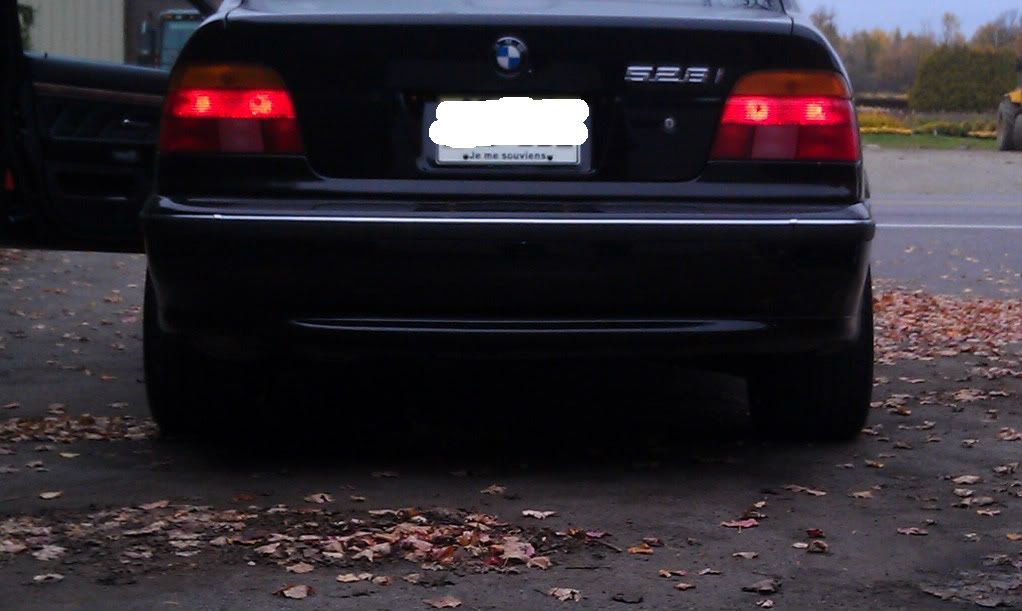 IMAG0070.jpg