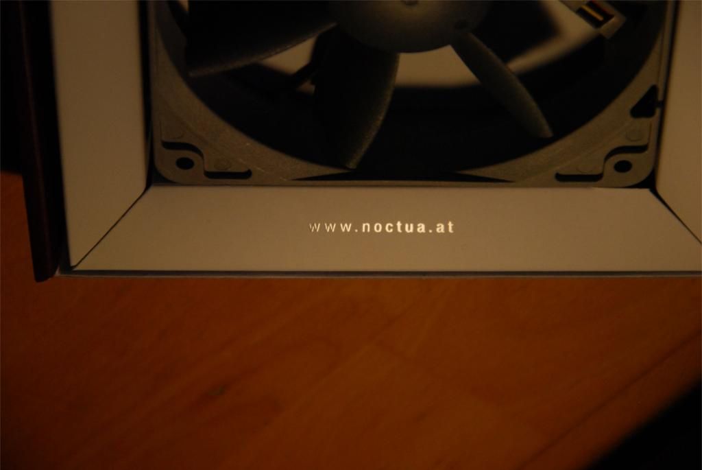 DSC_0146.jpg~original