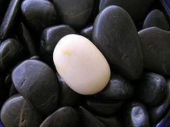 The fourth Hermetic principle, "Everything is Dual," and how it relates to science and the craft.