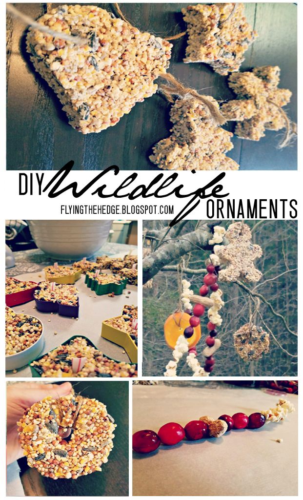 DIY Wildlife Ornaments
