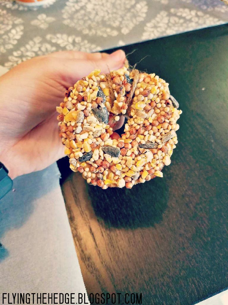 DIY Apple Birdseed Ornaments