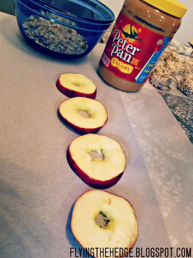 DIY Apple Birdseed Ornaments