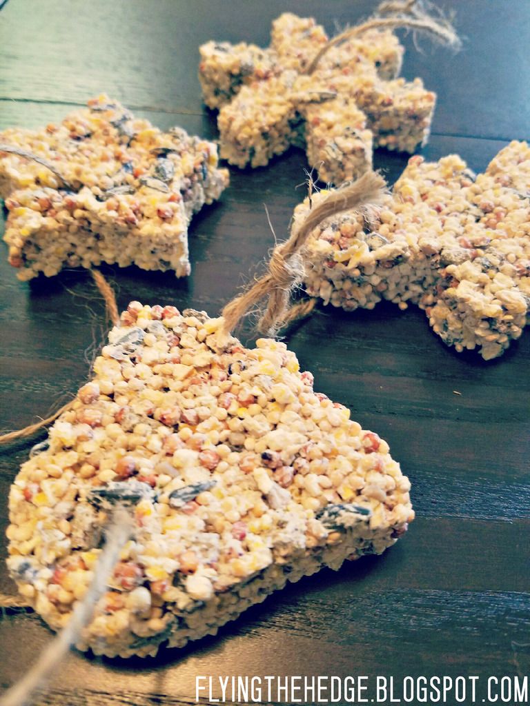 DIY Birdseed Ornaments