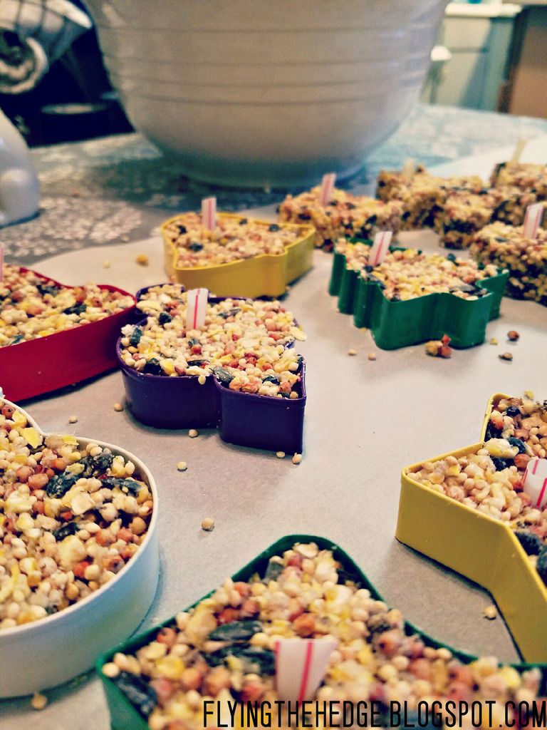 DIY Birdseed Ornaments