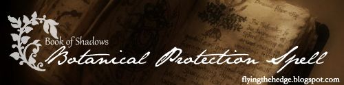 Protect your BOS from others with this Botanical Protection Spell!