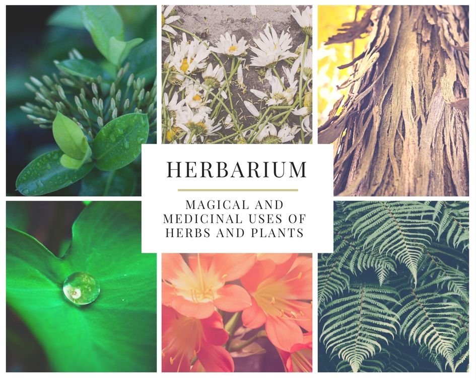 Herbarium: Magical and Medicinal Uses of Herbs and Plants Herbarium: Magical and Medicinal Uses of Herbs and Plants