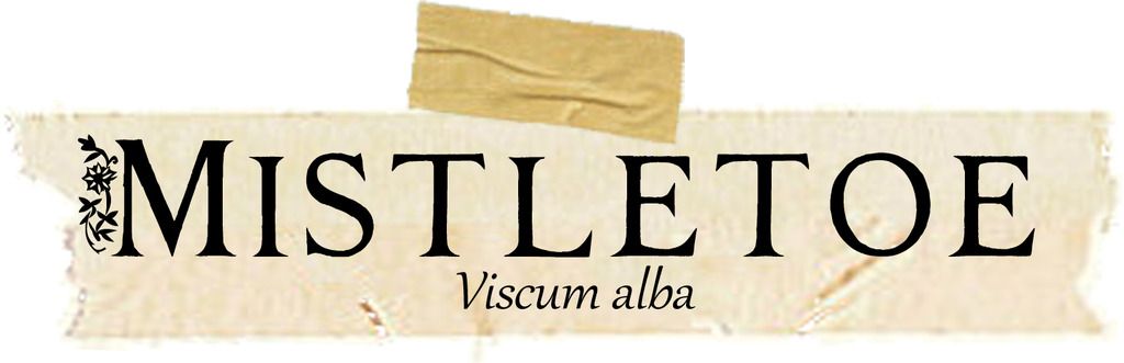 Herbarium: Mistletoe. Includes magical and medicinal uses of the herb as well as a FREE BOS page!