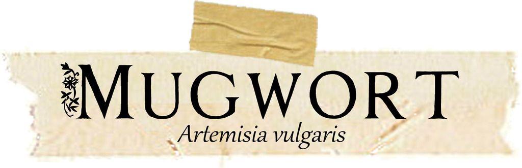 Herbarium: Mugwort. Medicinal and Magical Uses.