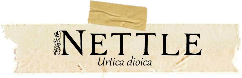 Herbarium: Nettle