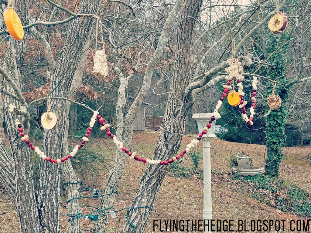 DIY Wildlife Ornaments