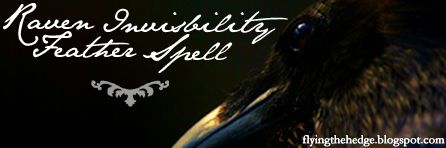Raven Invisibility Feather Spell