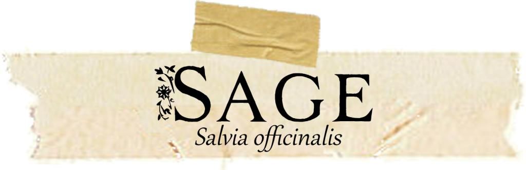 Herbarium Sage: Magical and Medicinal Uses of Sage. Includes free BOS page!