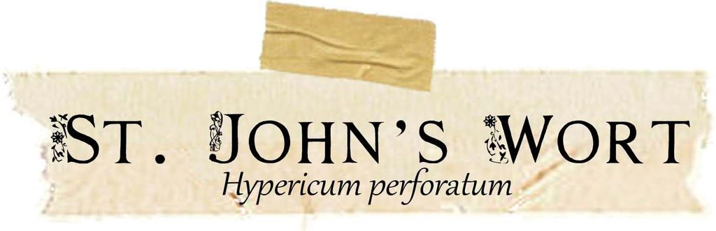 Herbarium: St. John's Wort. Magical and Medicinal uses of St. John's Wort. Includes free BOS page!