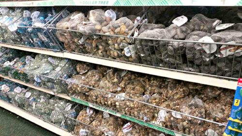 Dollar Store Witchcraft: The Best Items for Spells, Rituals, and Magic