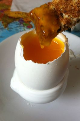 egg_zpsbd6b2e89.jpg