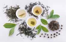 Hiểu thêm và lương y dược Hoàng Đôn Hòa