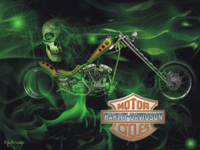 motorcycles_harley-davidson_300x225_35309_-_harley-davidson_green_skull.jpg