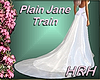 HRH Plain Jane wedding train that works with most any simply textured Wedding dress