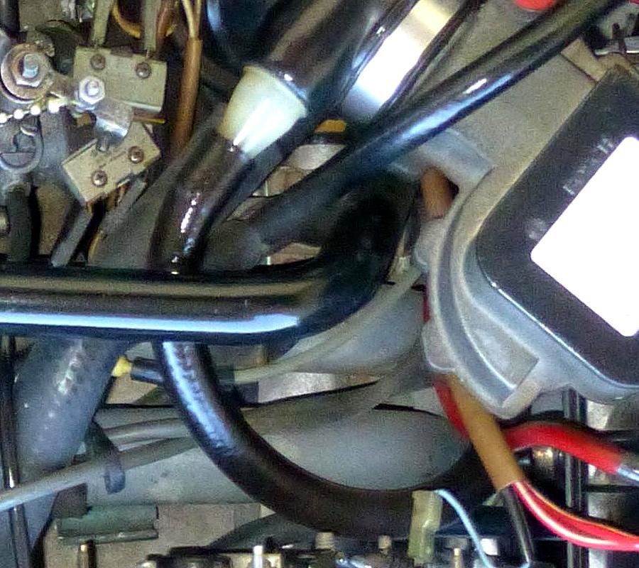 Image may have been reduced in size. Click image to view fullscreen.