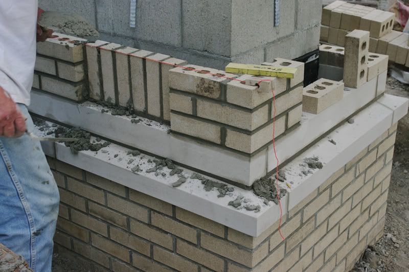 9868366820103.jpg