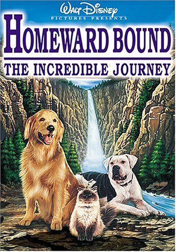 101 Must-See Family Movies www.blissfulanddomestic.com