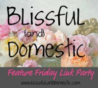 Blissfulanddomesticpartybutton-2