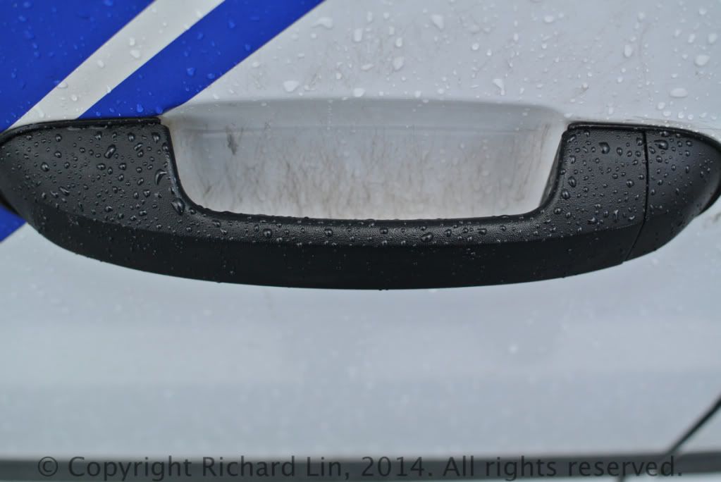 28DSC_0211.jpg