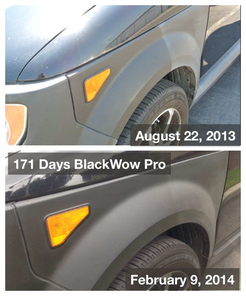 BlackWowPro_171days.jpg