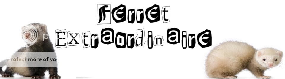 Ferret Extraordinaire banner