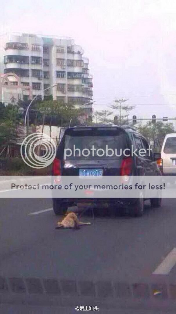 Super WTF Anjing diikat  dan diseret di belakang  kereta 4 