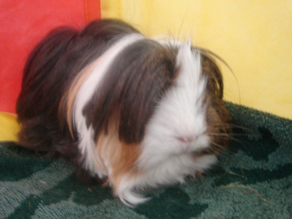 April12008.jpg