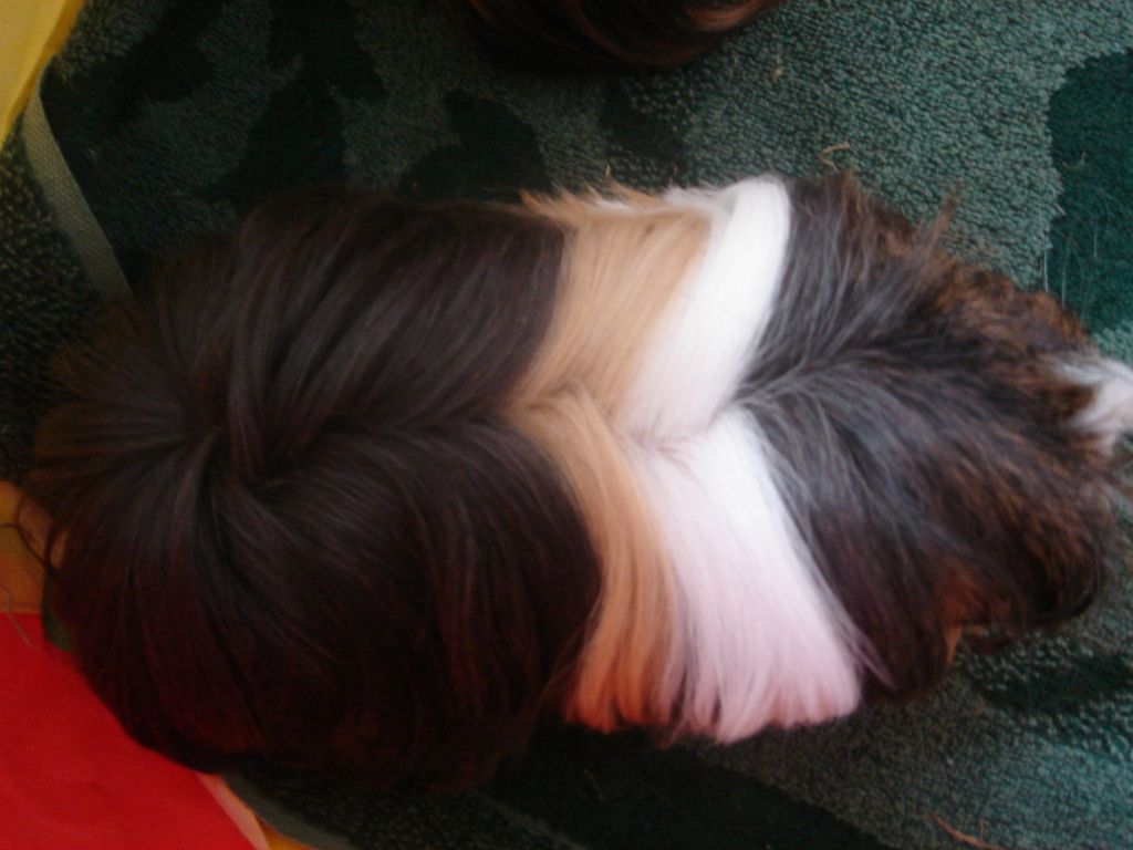 April12010.jpg