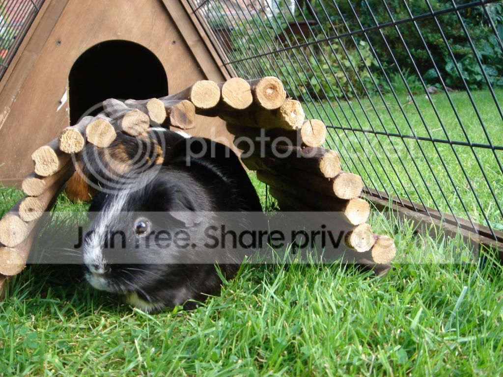 DSC02114_zpsba13d99d.jpg